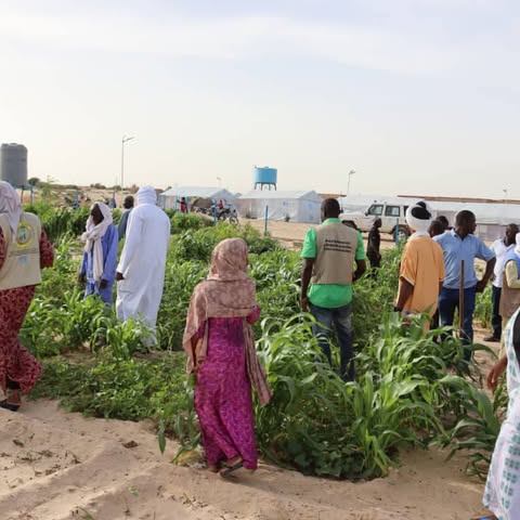 UNHCRMali's tweet photo. 🌱À #Tombouctou, 01 activité de reboisement s’est tenue le 18 juillet à la Cité Al-Amal dans le cadre du projet conjoint @UNHCRMali @UnescoBamako avec @ONG_AMSS, @sahelstopmali et les services techniques, visant à renforcer la cohésion sociale et protéger l’environnement🙏Japon https://t.co/ZIRAjrIXcF