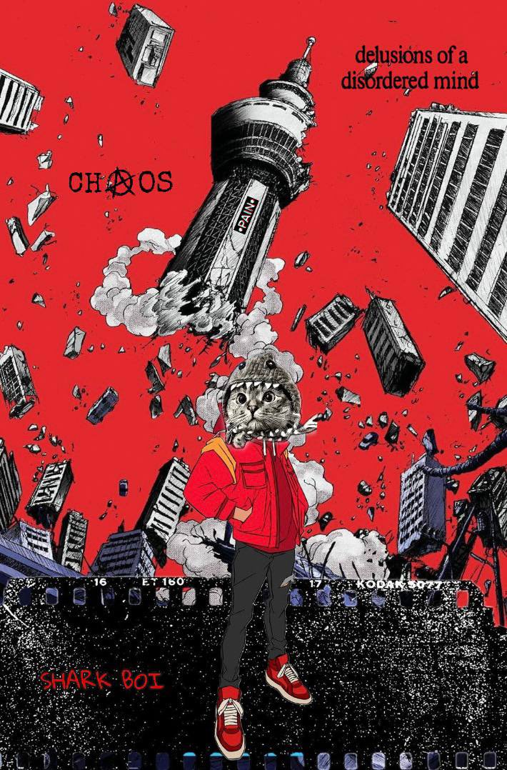 Shark Cat 🦈🐱 tweet media