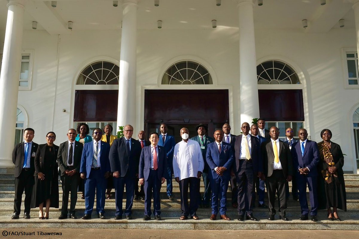FAODG's tweet image. Honoured to meet HE President @KagutaMuseveni to discuss Uganda’s progress on agrifood systems transformation. I reaffirmed @FAO’s support for developing value chains to boost productivity, resilience, and achieve food and income security. #FoodSecurity #4Betters