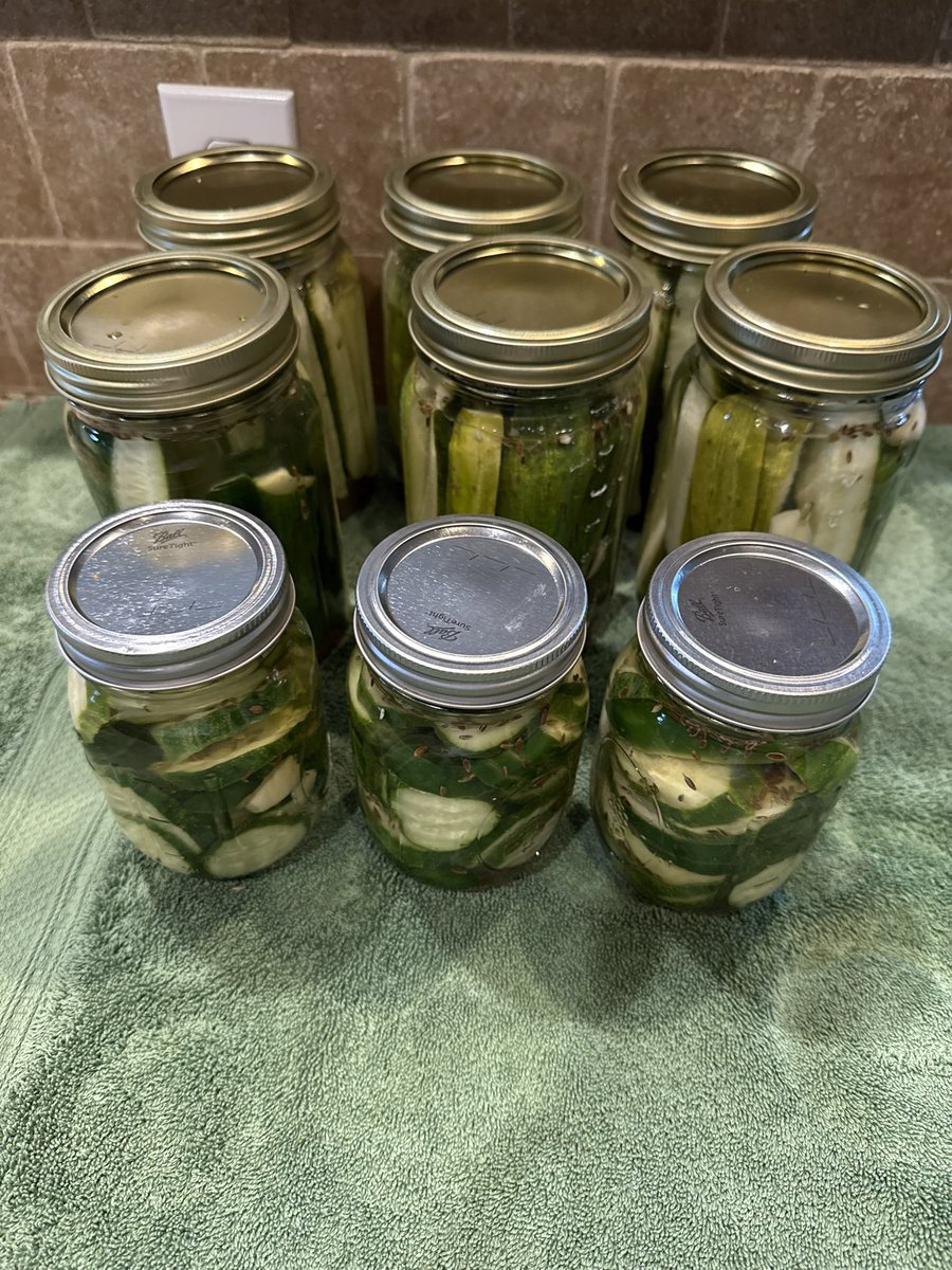 RedeemedRags's tweet image. Last week fig preserves. This week pickles. I'm just Debbi Homemaker!
