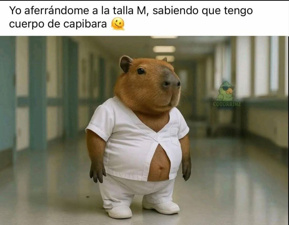 💫La de los Memes SV💫 (@the_memegirlsv) on Twitter photo 