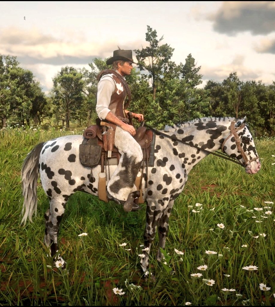 xkyguy's tweet image. I LOVE THIS HORSE it&apos;s so beautiful wdym it&apos;s free