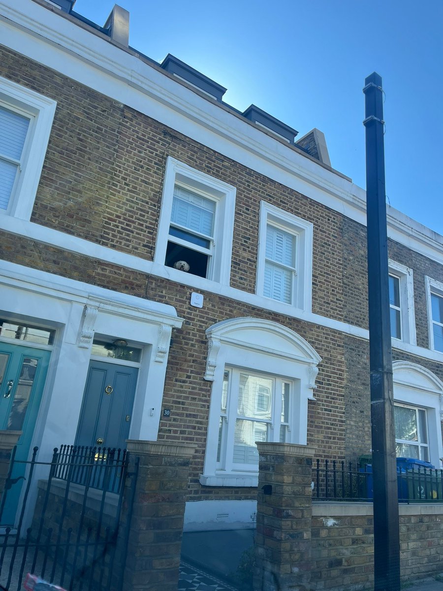 We spy a Bell Box.... and a furry friend 😍🐾