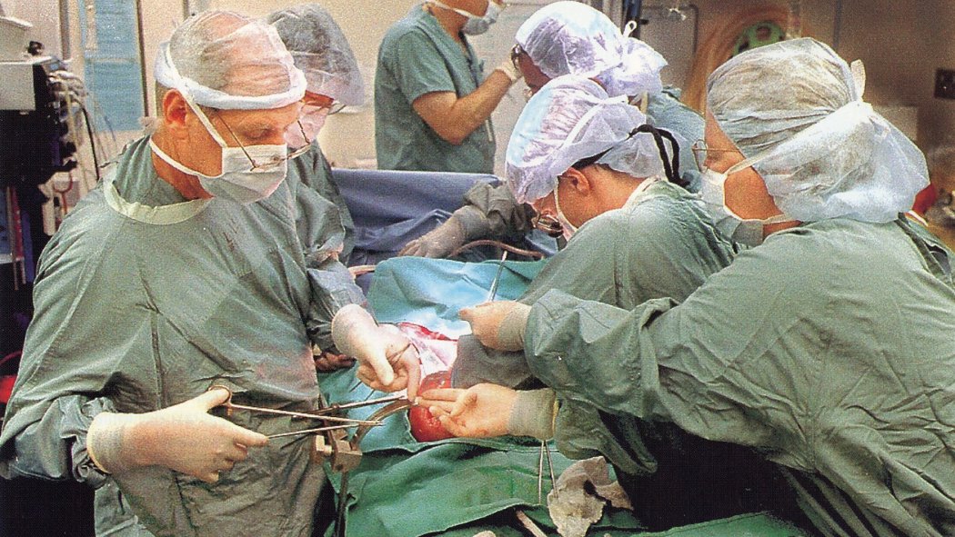 LHSCRI's tweet image. As @LHSCCanada celebrates 150 years of great care, teaching, and research, we’re proud to honour our legacy as a global leader in organ transplantation. Learn more: lhscri.ca/news/from-impo…
Photo credit: The London Free Press, a division of Postmedia Network Inc.