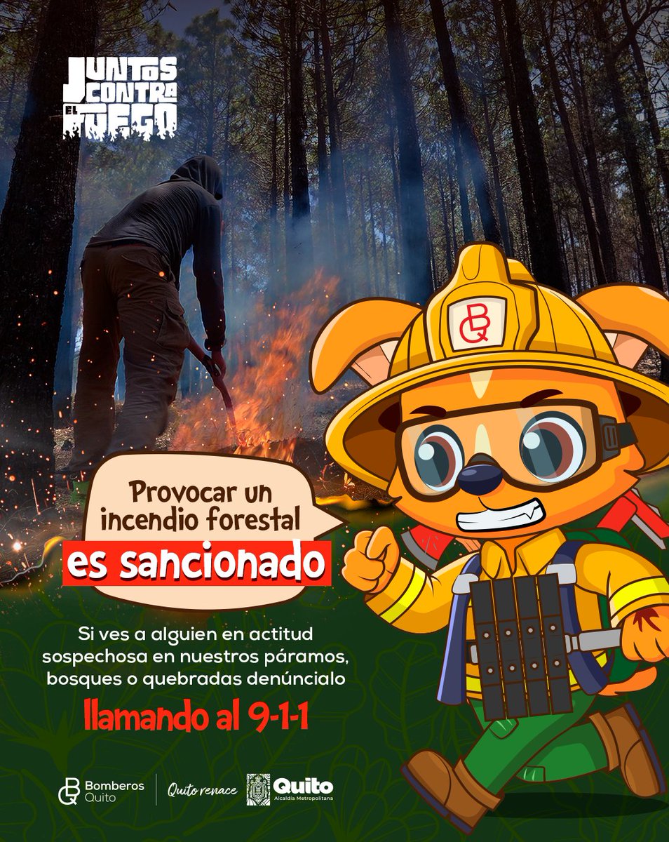 🤝 #JuntosContraElFuego | Varios animales, algunos únicos en su especie,  pierden sus hogares en los incendios. 🥹 Son muchas vidas que se ponen en  peligro. Ayúdanos a protegerlas. 📞 𝐃𝐄𝐍𝐔𝐍𝐂𝐈𝐀 𝐀 𝐐𝐔𝐈𝐄𝐍𝐄𝐒, image size:954x1200