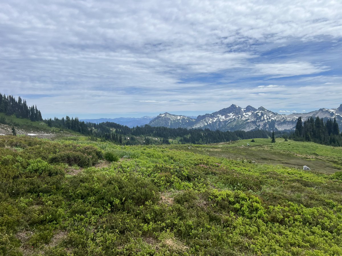 OutragedMike's tweet image. Thank you for this message Holy Father.

@Pontifex 
@elonmusk 
@DalaiLama 

#PRAYER

#HOPE

please help me to spread a message of hope, AND POSITIVITY, FOR EVERYONE, and SHARE IF YOU KNOW SOMEONE IN NEED

WITH ALL THE CHAOS, THE UNCERTAINTY, and WEIGHT of the footsteps we are…