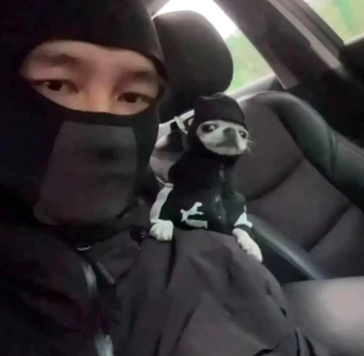 💖 (@twaniimals) on Twitter photo 