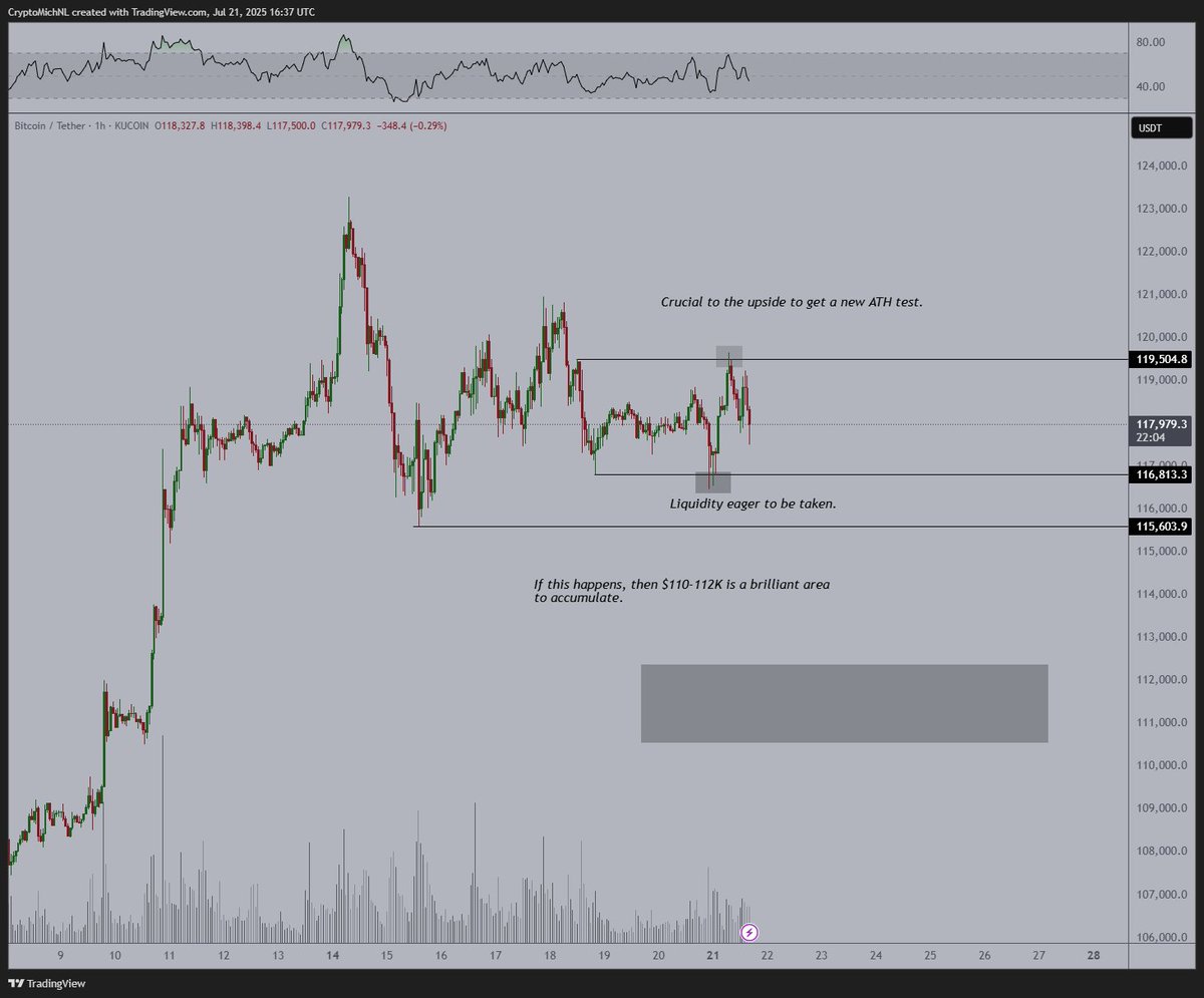 CryptoMichNL's tweet photo. Liquidity on both sides have been taken for #Bitcoin. 

That's going to mean that we're waiting for a clear direction. 

Volatility is going down, matter of time until it picks up.

Break above $119.5K = new ATH.
Break south of $116.8K = $111K buy the dip opportunity. https://t.co/tku5qccobH
