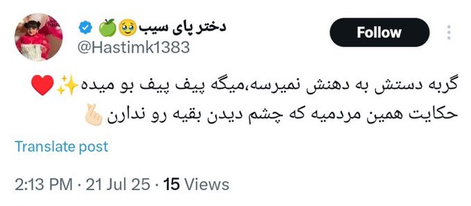 Amanj_emw's tweet image. کوه به کوه نمیرسه وانگهی دریا شود