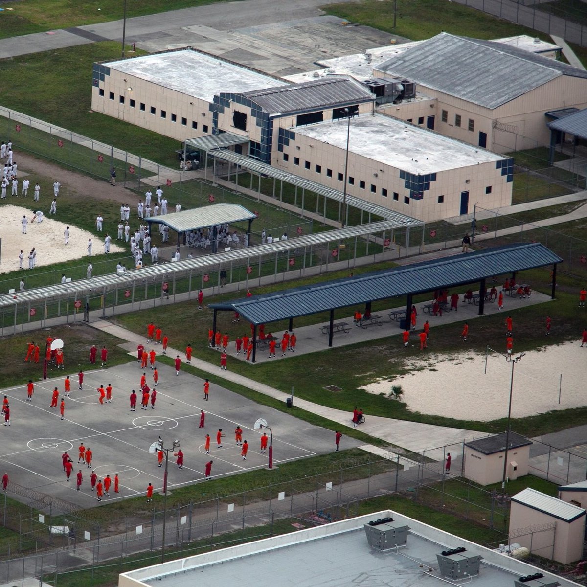 factpostnews's tweet image. New report reveals individuals at a Miami detention center were shackled with their hands tied behind their backs and forced to kneel to eat food “like dogs.”