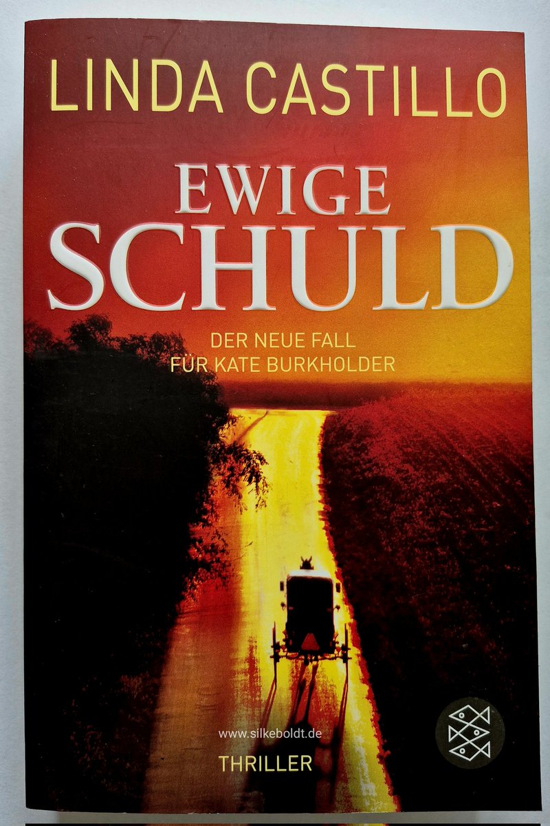 "Er wartete, bis die Kinder schliefen."

Ewige Schuld | Linda Castillo 
#buchbeginn #lesen 📚