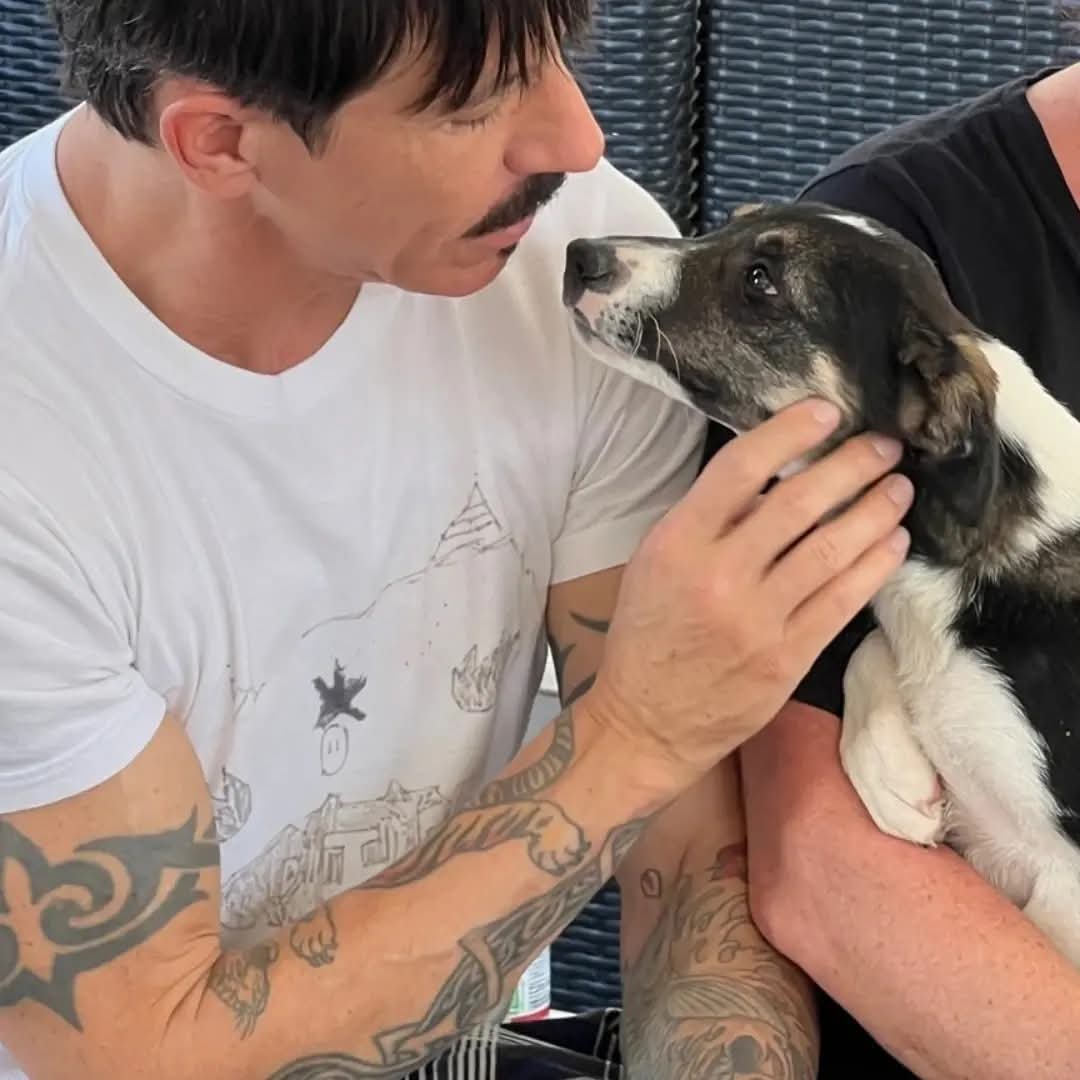 ChiliPeppersArg's tweet image. Hoy es el día mundial del perro 🐶 un día para también pedir por los miles de animales que necesitan un hogar, un poco de alimento y el merecidisimo calor de una familia.
✳️ Durante la última gira de la banda en el último trayecto por norteamérica, Anthony Kiedis y Red Hot Chili…