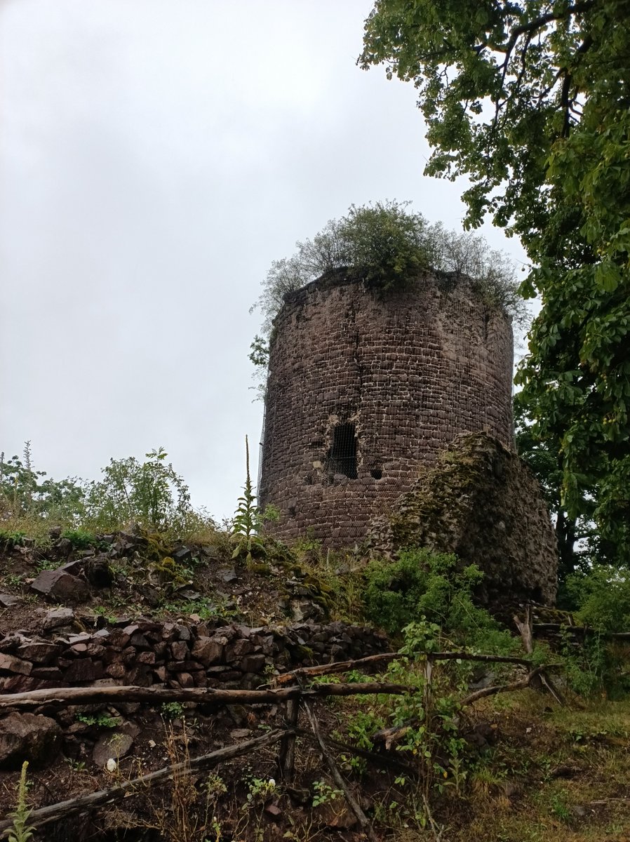 kineyDE's tweet image. Trotz kondensierender Dürre eine kleine Runde im Harz gedreht.
Die Burgruinen Hohnstein und Ebersburg sowie den matschigen Wald dazwischen angeschaut....