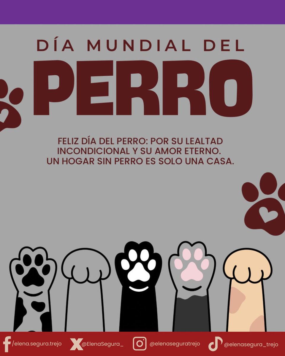 ElenaSegura_'s tweet photo. 🐶 Hoy no es un día cualquiera:
¡Es el Día Mundial del Perro!
Gracias por su amor incondicional y por hacernos mejores personas cada día 🐾❤️
💬 ¿Cómo se llama tu lomito? ¡Comparte su foto! 📸👇
#DíaDelPerro #LomitoFeliz #AmorCanino #MorenaContigo #PerrosMX #HuellaDeAmor https://t.co/F8AmyJ6ymU