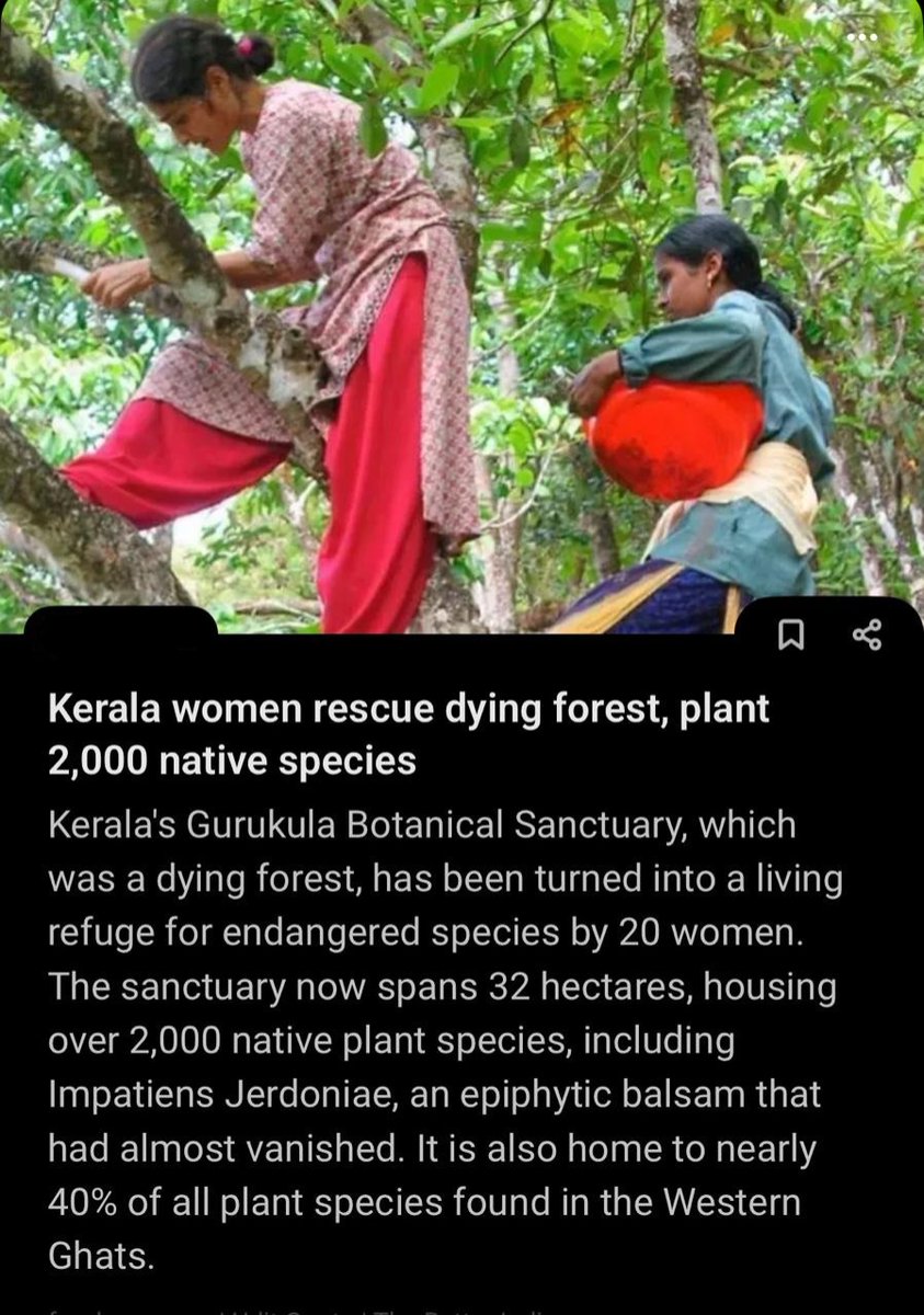 SadhguruJV's tweet image. Among the most biodiverse ecosystems in the world, the Western Ghats is also among the oldest mountain ranges on the planet. Wonderful that this small group of dedicated women are actively demonstrating that all it takes is concern & commitment to protect and rejuvenate our Land,…