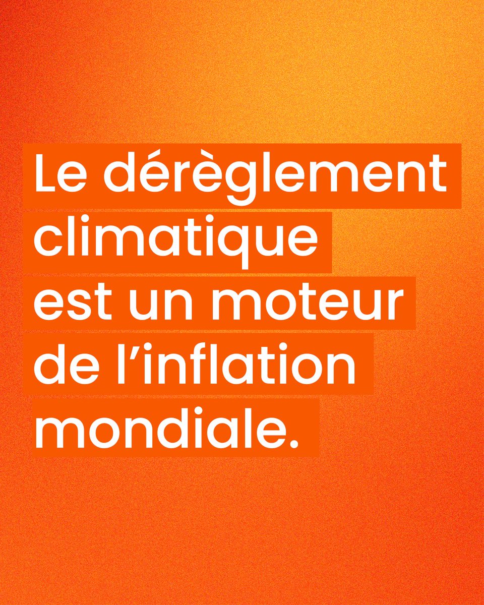 AgnesRunacher's tweet image. Le changement climatique fait grimper les prix de l’alimentation.
Entre 2022 et 2024, une quinzaine d’événements météorologiques extrêmes en sont la cause directe.
+50 % pour l’huile d’olive en Europe, après deux années de sécheresse en Espagne.
+100 % pour le café robusta, un…