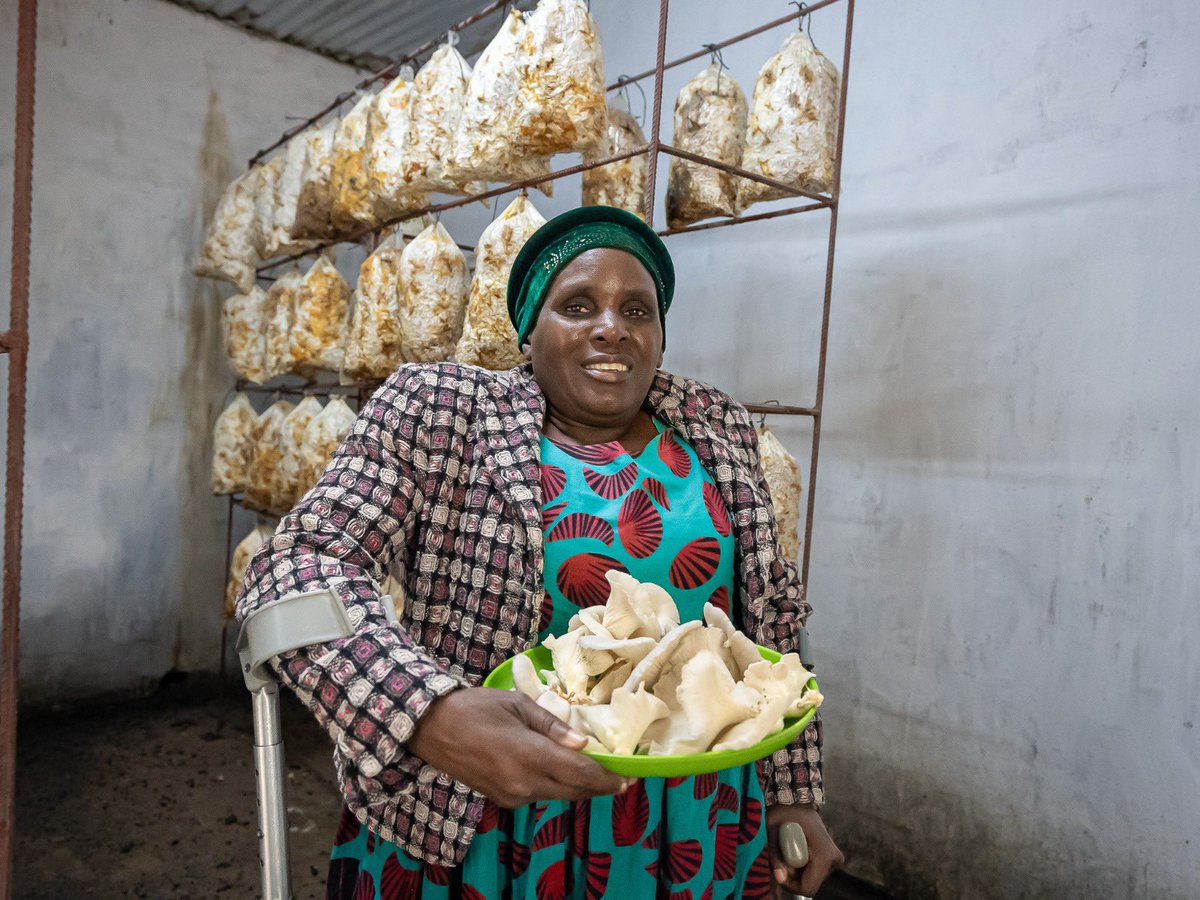 UNDPZambia's tweet image. At UNDP, we approach #SocialProtection holistically and inclusively — focusing both on immediate relief & long-term development for a resilient, inclusive future 🇿🇲
#SocialProtectionWeek2025’s theme: The Life Cycle Approach, resonates with our mission to #LeaveNoOneBehind.