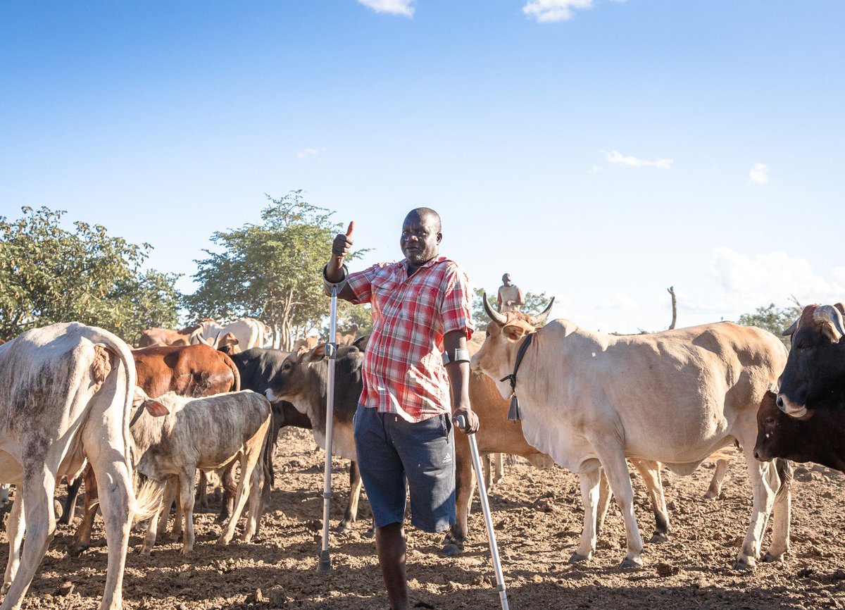 UNDPZambia's tweet image. At UNDP, we approach #SocialProtection holistically and inclusively — focusing both on immediate relief & long-term development for a resilient, inclusive future 🇿🇲
#SocialProtectionWeek2025’s theme: The Life Cycle Approach, resonates with our mission to #LeaveNoOneBehind.