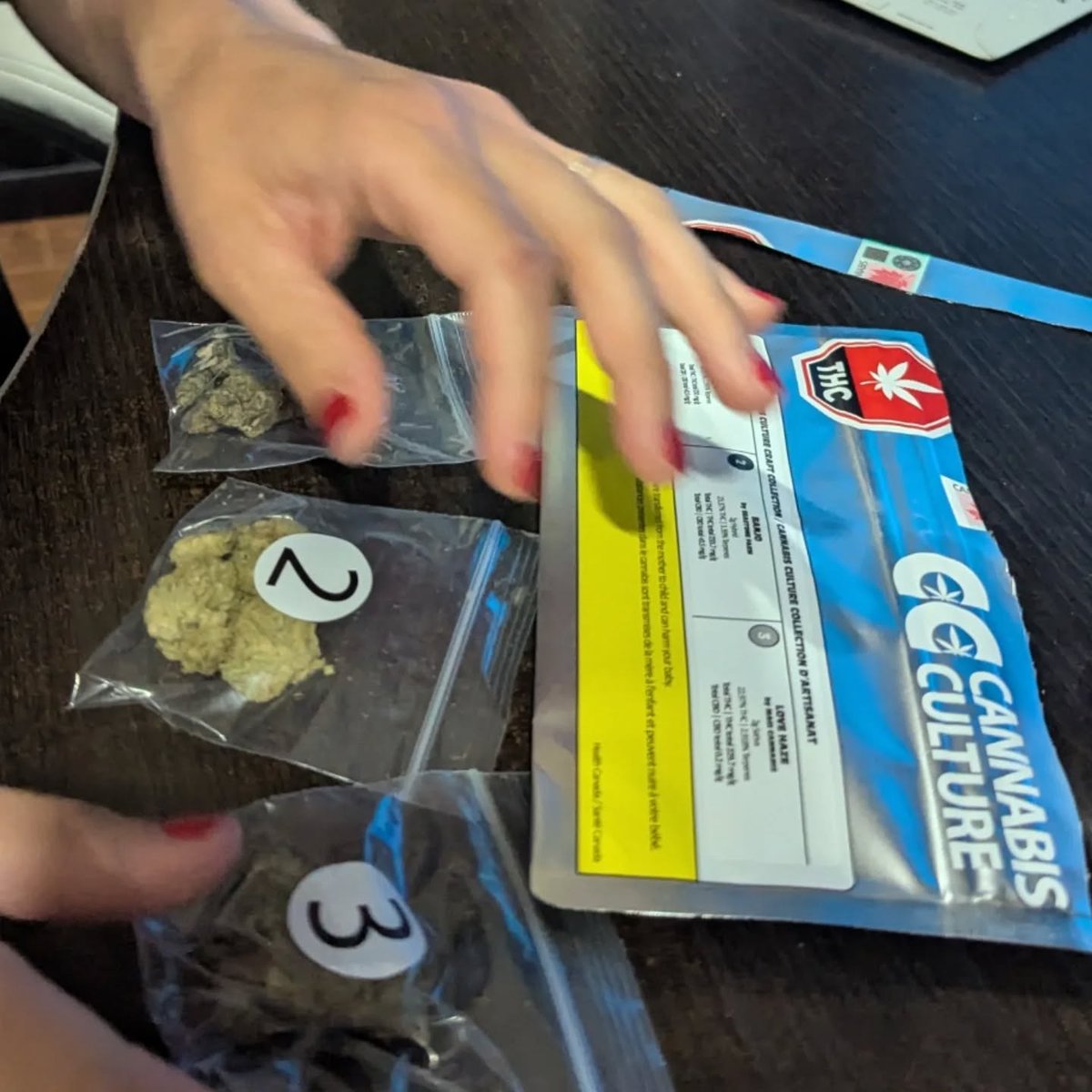 I'm lucky I got to try @cannabisculture new legal package 💚💨💨💨 6g, 3 strains, premium products 🤤 thanks @jodieemery The Terps are incredible ✨