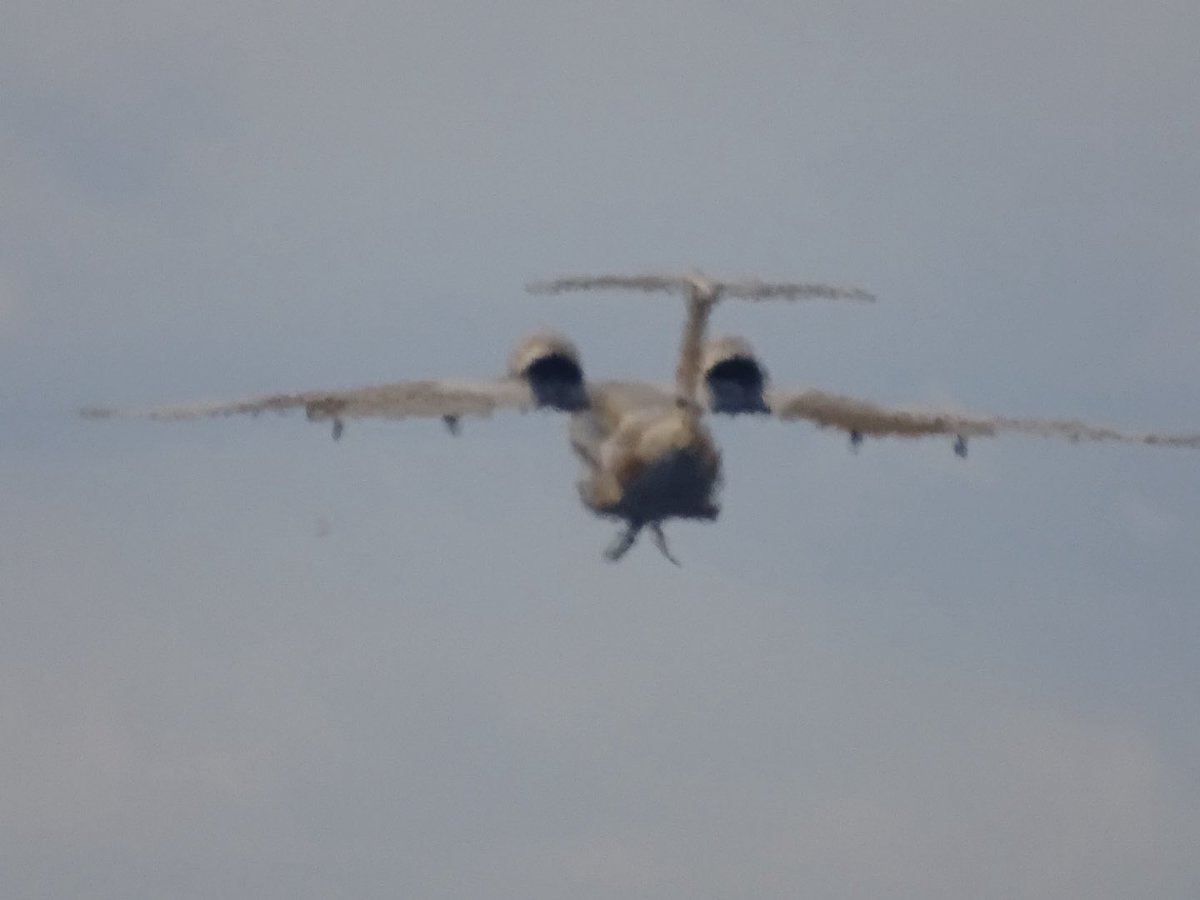 CliveBranch's tweet image. An74-TK-200
SU-BPN
Egyptian Airforce
@airtattoo 2025
@JordanWeir45
@johnbilcliffe
@Caz801
@Saint1Mil
@NZ_Trav
@NWSAcaster
@CraigHughes123