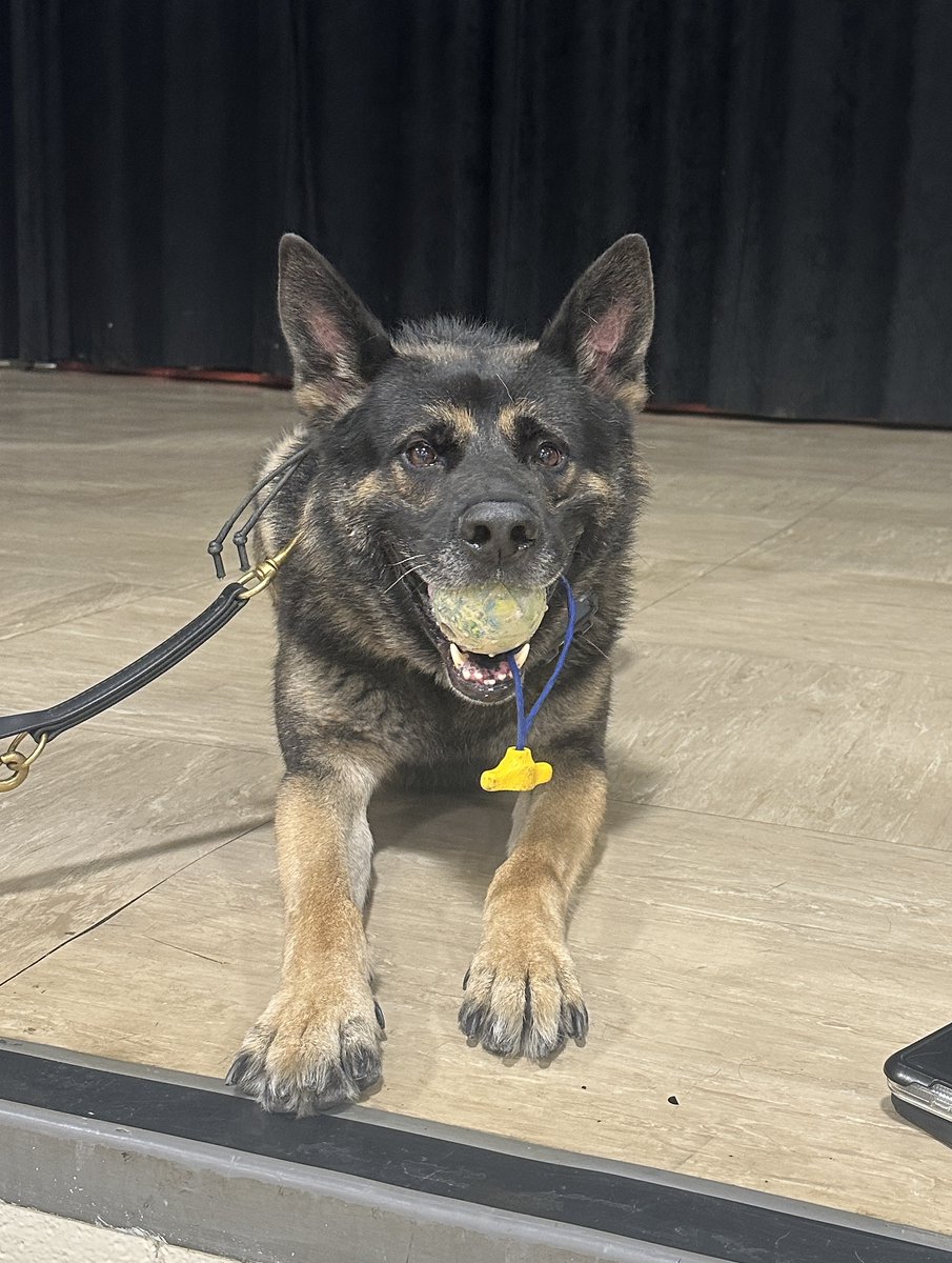 BTPSSpecialSrvcs (@btpssrvcs) on Twitter photo Officer Pacyna & K9 Partner Diesel, accompanied by Officer Storch delivered an AWESOME assembly discussing safety & law enforcement to our ESY Ss! High Paw to this fantastic group of heroes! 💙🐾& 💚! <a href="/Brick_K12/">Brick Township Public Schools</a> <a href="/BTPSLearns/">BTPSLearns</a> <a href="/BrickTwpPolice/">Brick Twp. Police</a> Officer Pacyna & K9 Partner Diesel, accompanied by Officer Storch delivered an AWESOME assembly discussing safety & law enforcement to our ESY Ss! High Paw to this fantastic group of heroes! 💙🐾& 💚! <a href="/Brick_K12/">Brick Township Public Schools</a> <a href="/BTPSLearns/">BTPSLearns</a> <a href="/BrickTwpPolice/">Brick Twp. Police</a>