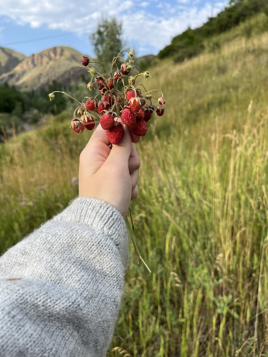 Tamaaam yetiştim yetiştim