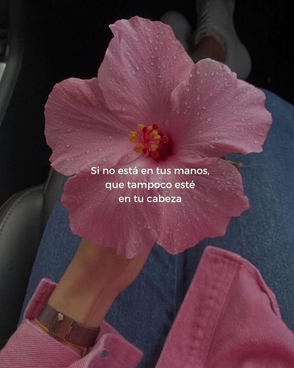 ramé (@escritosrame) on Twitter photo 