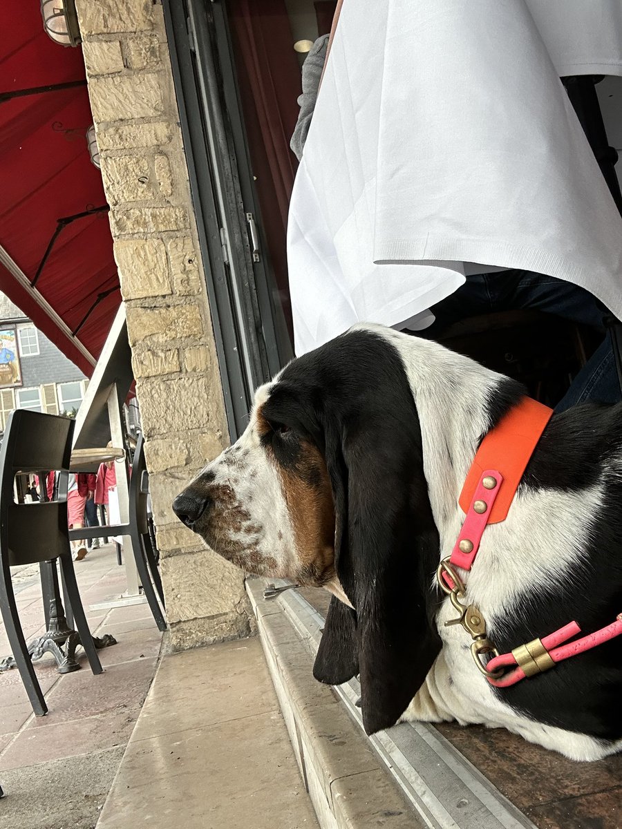 Der Kontrolletti auf seinem Posten 👀