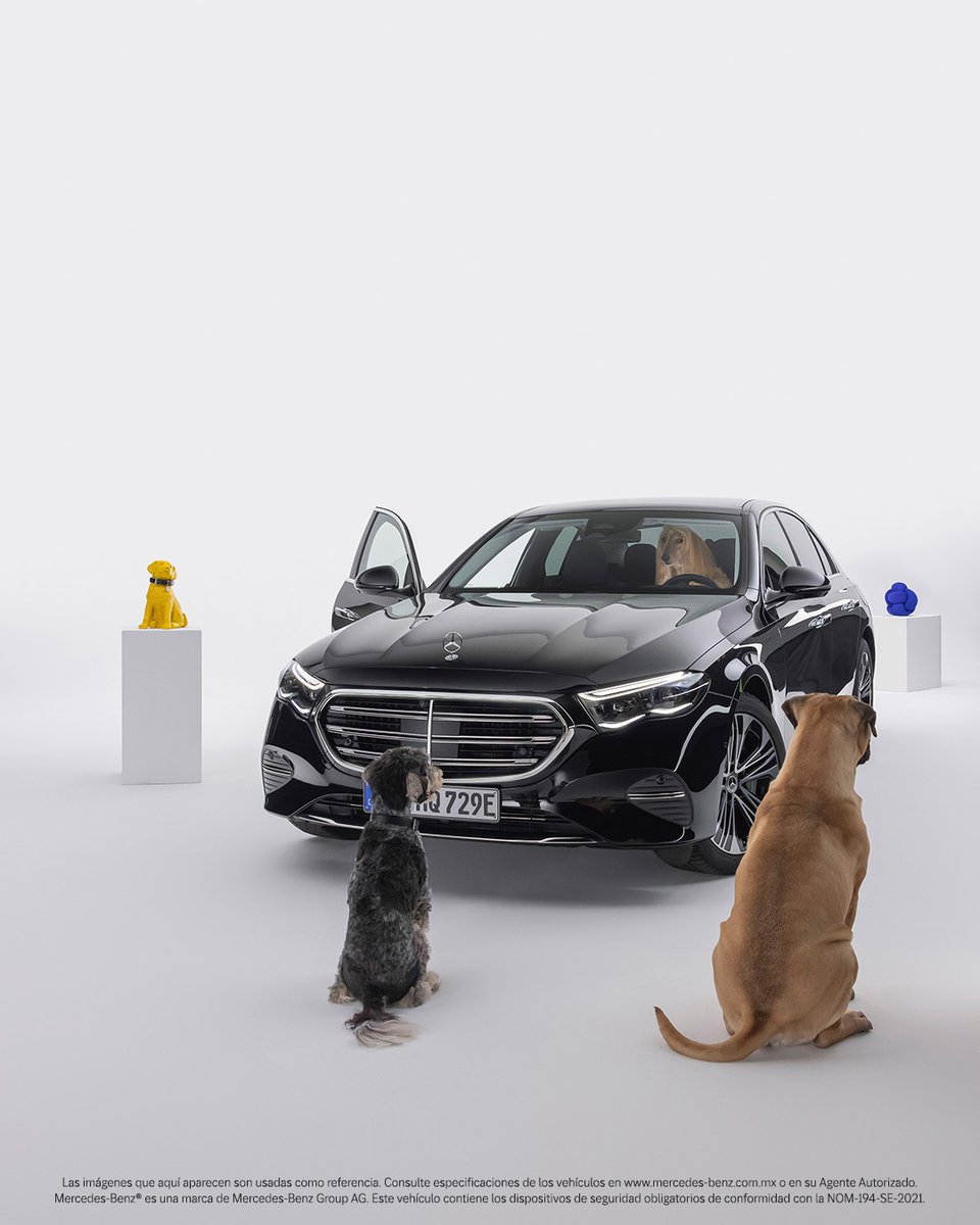 Stella, Benzito y Maybach están de acuerdo:​

No hay mejor plan que un trayecto lleno de cariño, música y orejas al viento.​

Hoy celebramos a quienes hacen cada viaje más feliz aunque nos llenen de pelitos los asientos. ​
¡Feliz Día del Perro!