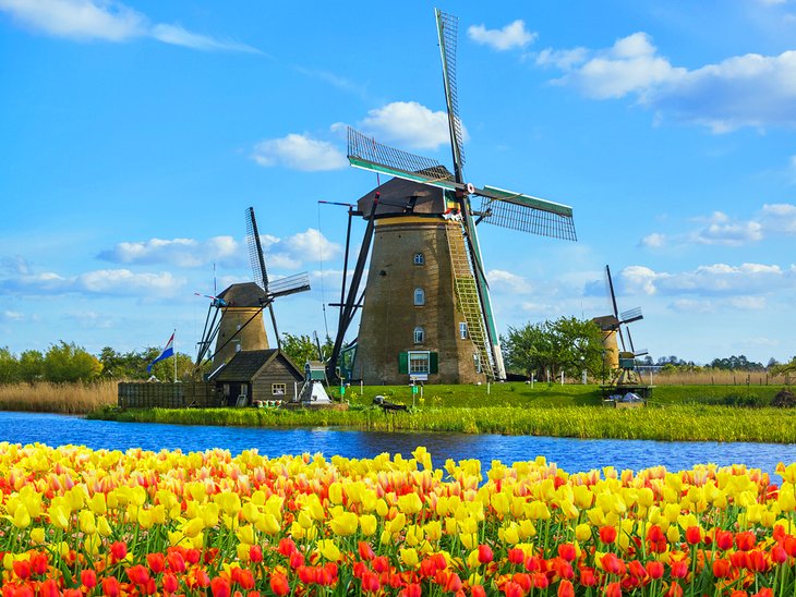 QuirkyForum's tweet image. CANADA AND THE NETHERLANDS Canadian troops liberated the starving population of the Netherlands in 1945. 7600 soldiers are buried there. Canada hosted the royal family during the War. Met Queen Beatrix at a Congress in Amsterdam in 1984. She was four when she moved to…