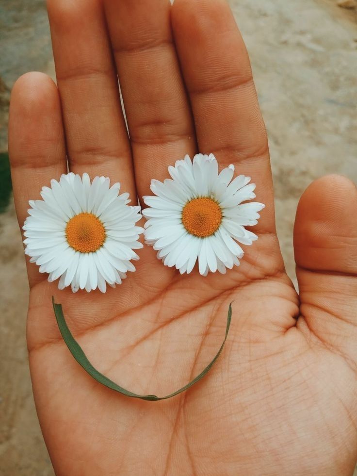Brillo_y_luz's tweet image. Con solo un poquito de actitud
puedes cambiar tu día ...✨️