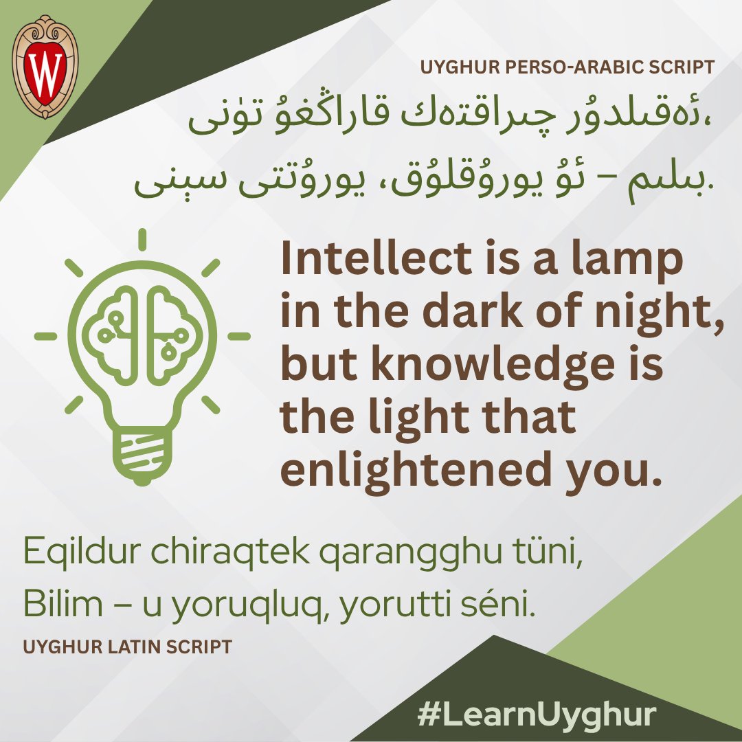 You’ve moved from learning to knowing. Let that light keep guiding you—Week 6 is proof of how far you’ve come.