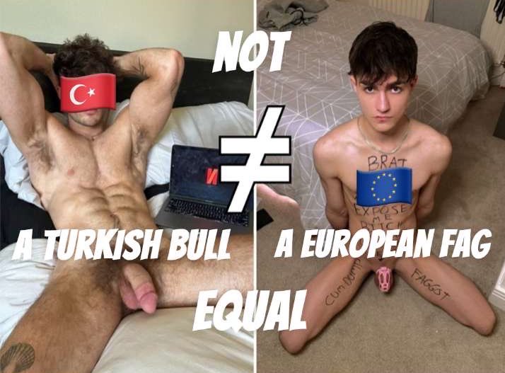 Turkish Bull #MNWO 🇹🇷 tweet media