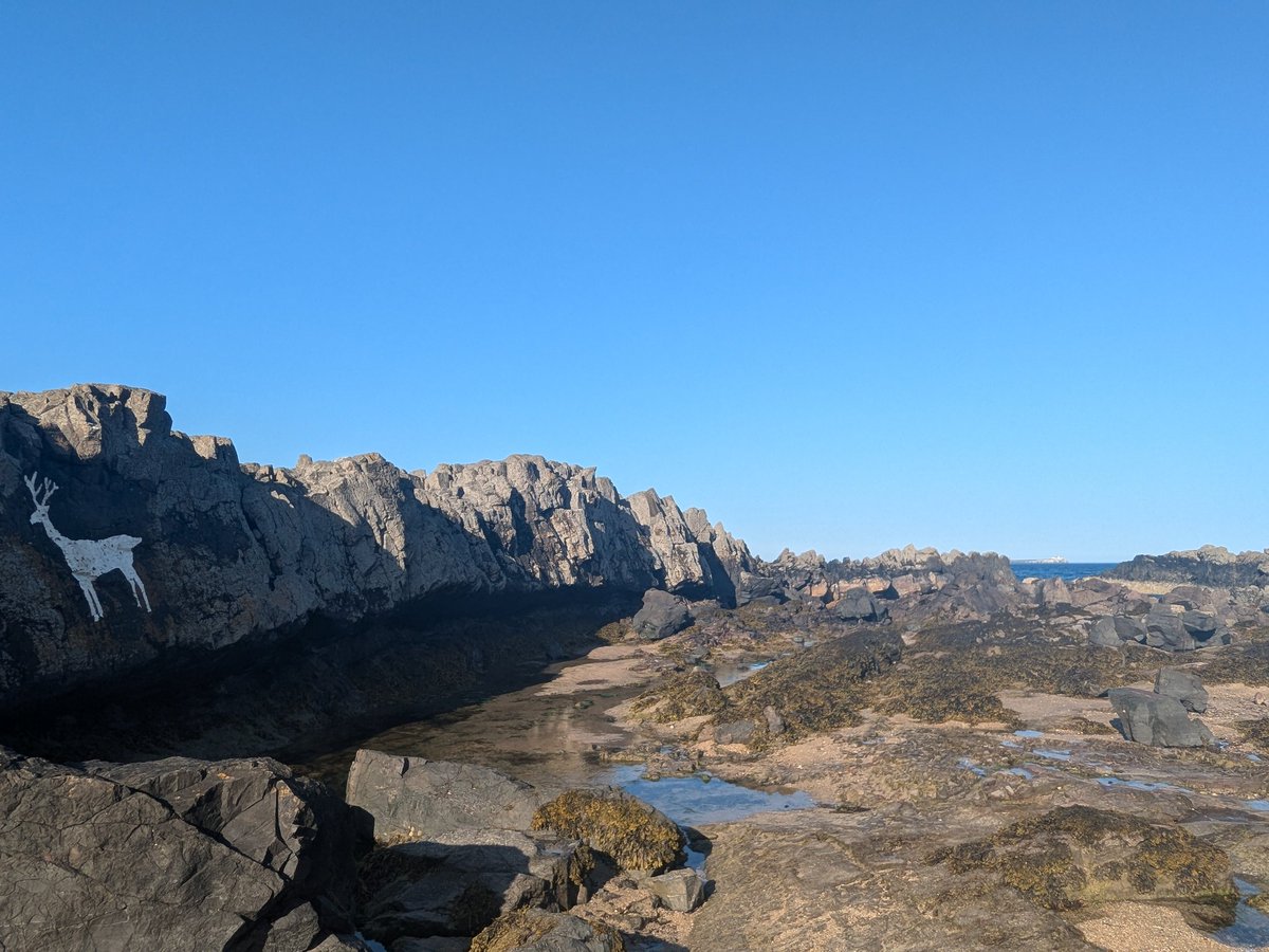 🌼🍋Helencello🍋🌼 (@helencello) on Twitter photo Not something you expect to see on a Northumberland rock.
Stag Rock, Bamburgh
#Northumberland <a href="/NorthEastTweets/">North East Tweets</a> Not something you expect to see on a Northumberland rock.
Stag Rock, Bamburgh
#Northumberland <a href="/NorthEastTweets/">North East Tweets</a>