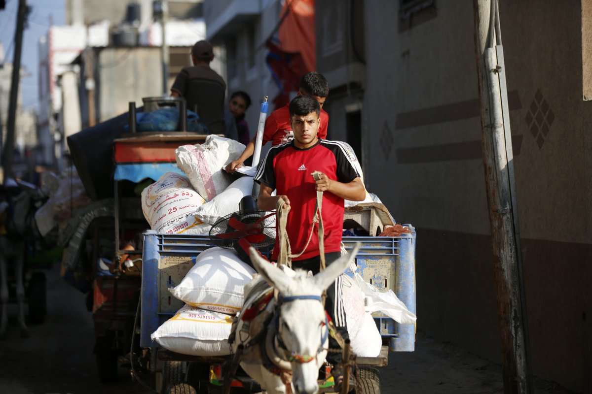 UNRWAes's tweet image. Nuevas órdenes de desalojo forzoso en Deir al-Balah, en Gaza. Ahora, las familias se ven obligadas a desplazarse bajo temperaturas abrasadoras.
Pero, ¿adónde puede ir la población? Ningún lugar es seguro y todo está destruido.
La situación es insoportable.