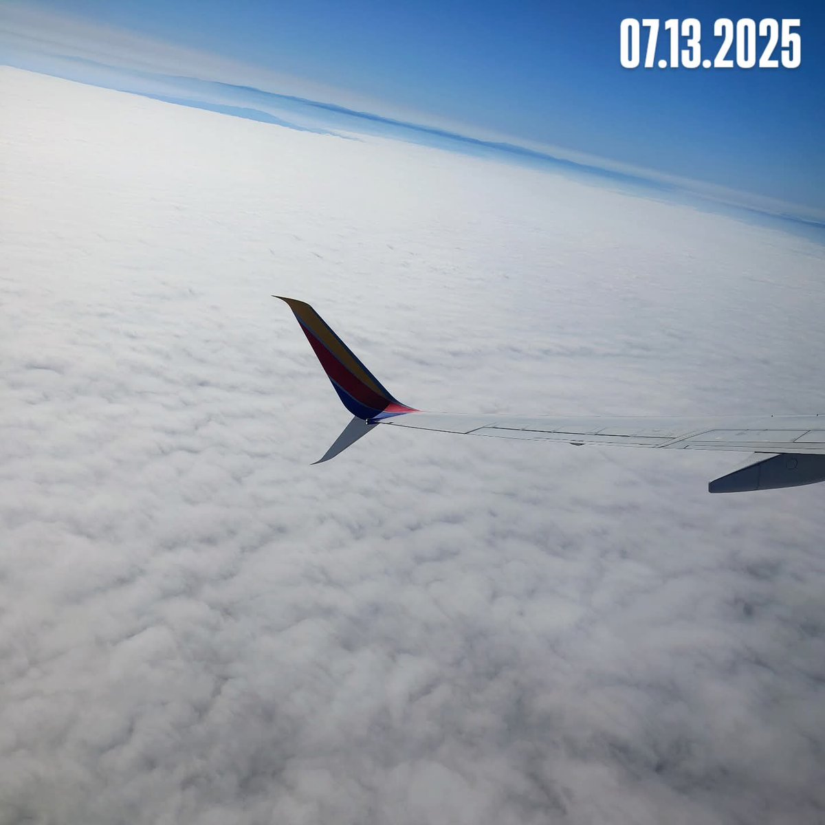 lucky_left_hand's tweet image. 👋 BYE-BYE "BAY"-BEE 🌉 🐝
#Fam1st 🌳👑💚