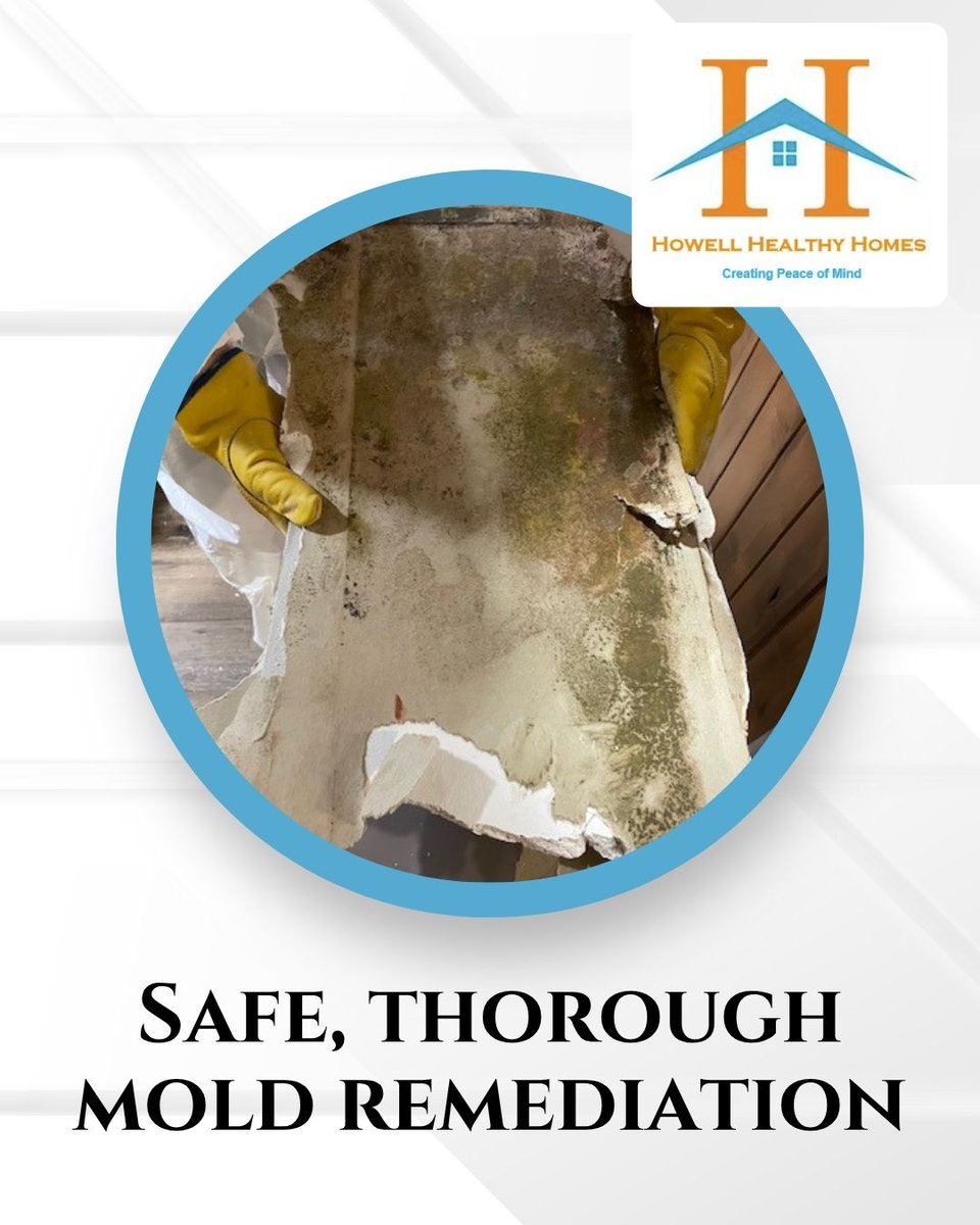 HowellRadon's tweet image. Mold exposure can impact your health, especially for kids, seniors, and those with respiratory issues. We treat your home like it’s our own.