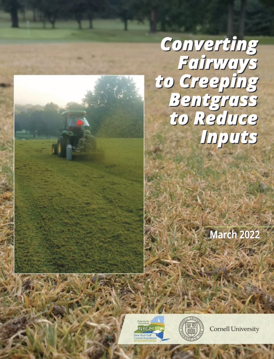 Cornell_Turf's tweet image. This time of year, even golfers see the difference. Bentgrass thrives, Poa struggles without irrigation.
Superintendents are eyeing Poa-to-Bentgrass conversions on NY greens and fairways to cut inputs. Summer is the prime window — hear their stories. 🎙️
shorturl.at/nlQDa