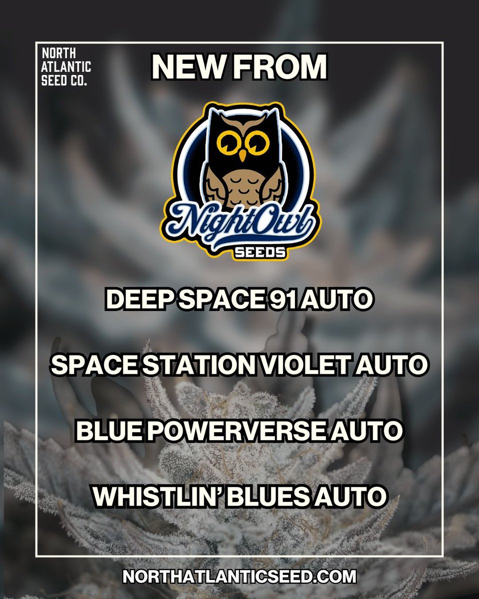 New Strains From Night Owl Seeds Available Now! 🦉

Deep Space 91 Auto 🌌 
Space Station Violet Auto 🛰️ 
Blue Powerverse Auto ⚡ 
Whistlin' Blues Auto 💙

No sales through social media