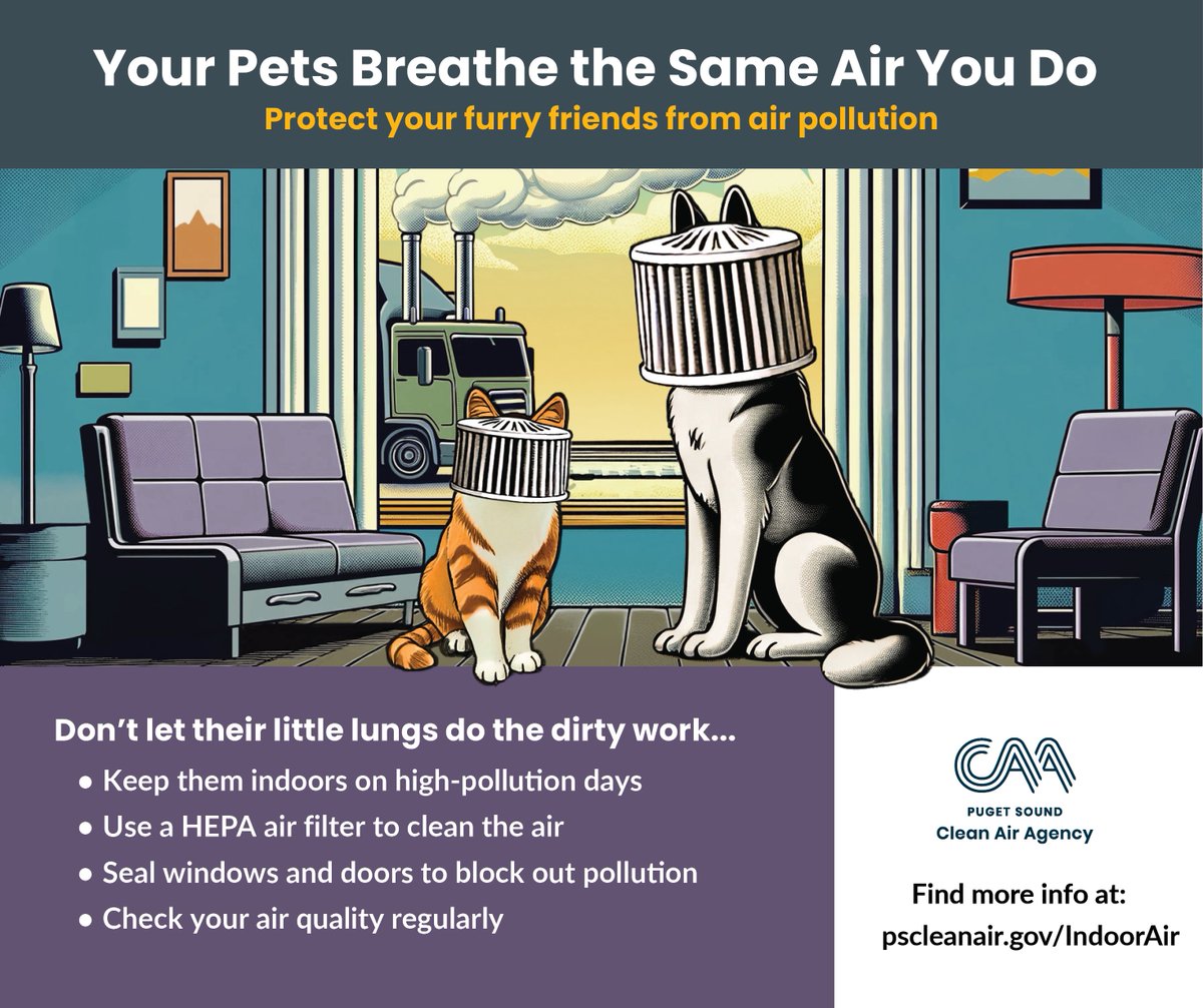 pscleanair's tweet image. We don't regulate indoor air but, we understand that you, your pets, family, and friends value a breathable home. Ventilate on good air days, but we recommend having an air filter on and sealing your doors and windows during bad air days. More at pscleanair.gov/IndoorAir