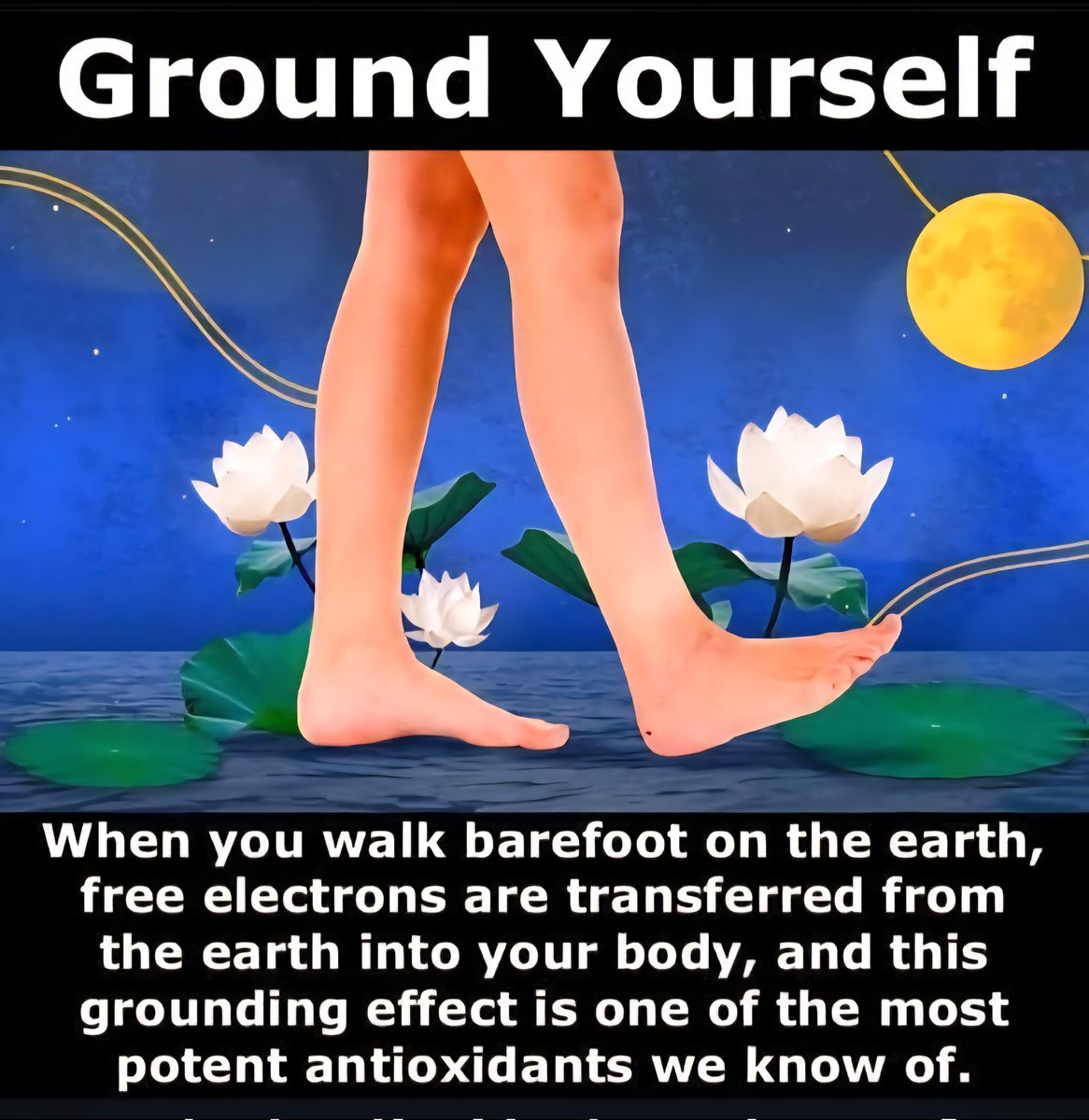 Ground Yourself