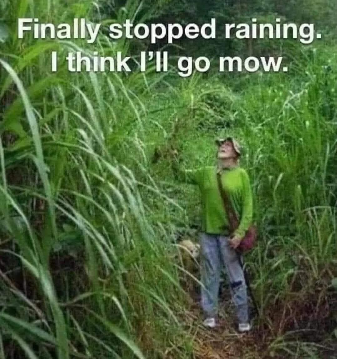 MojoResin's tweet image. Time to mow. Reasonably nice out today, but 110° heat index coming for rest of the week. 🥵