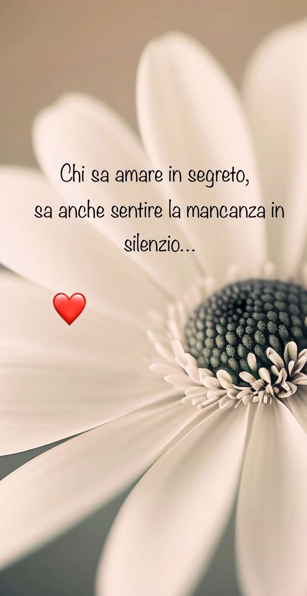 Rosadargento_00's tweet image. 