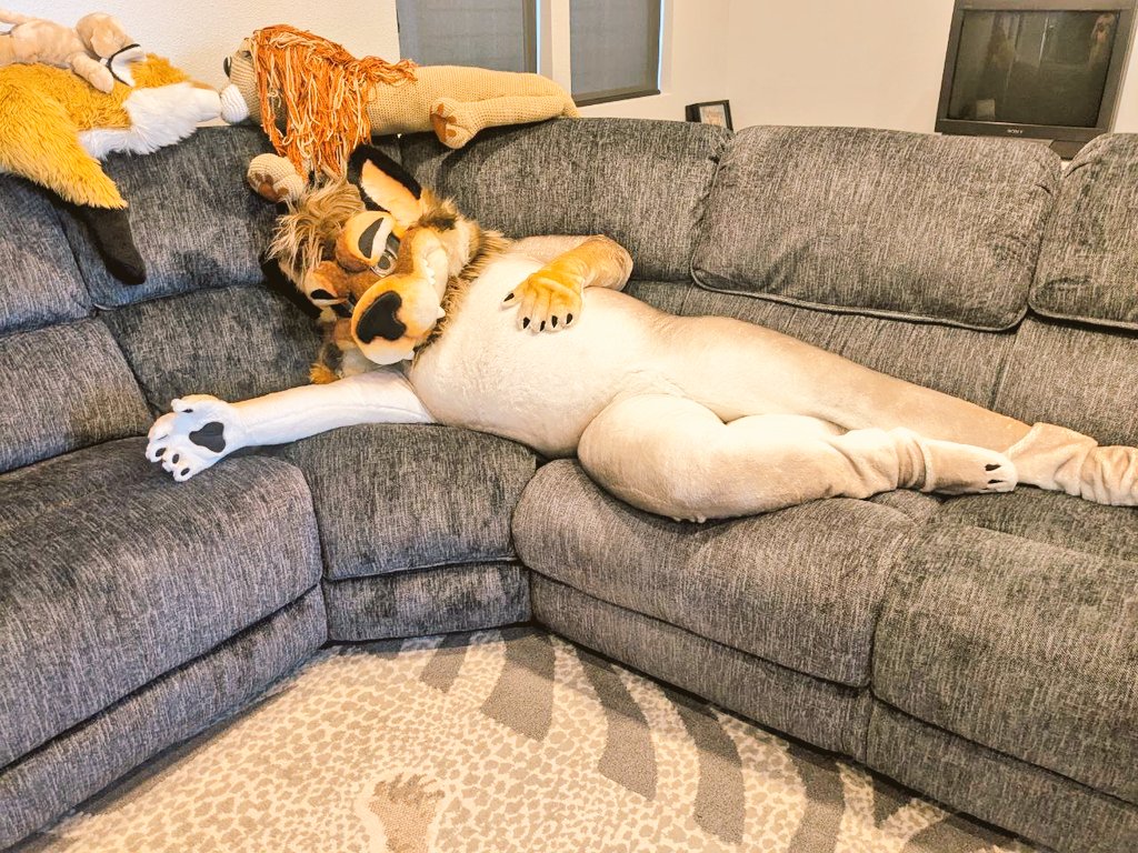 WolfyLion's tweet image. The couch belongs to the cat