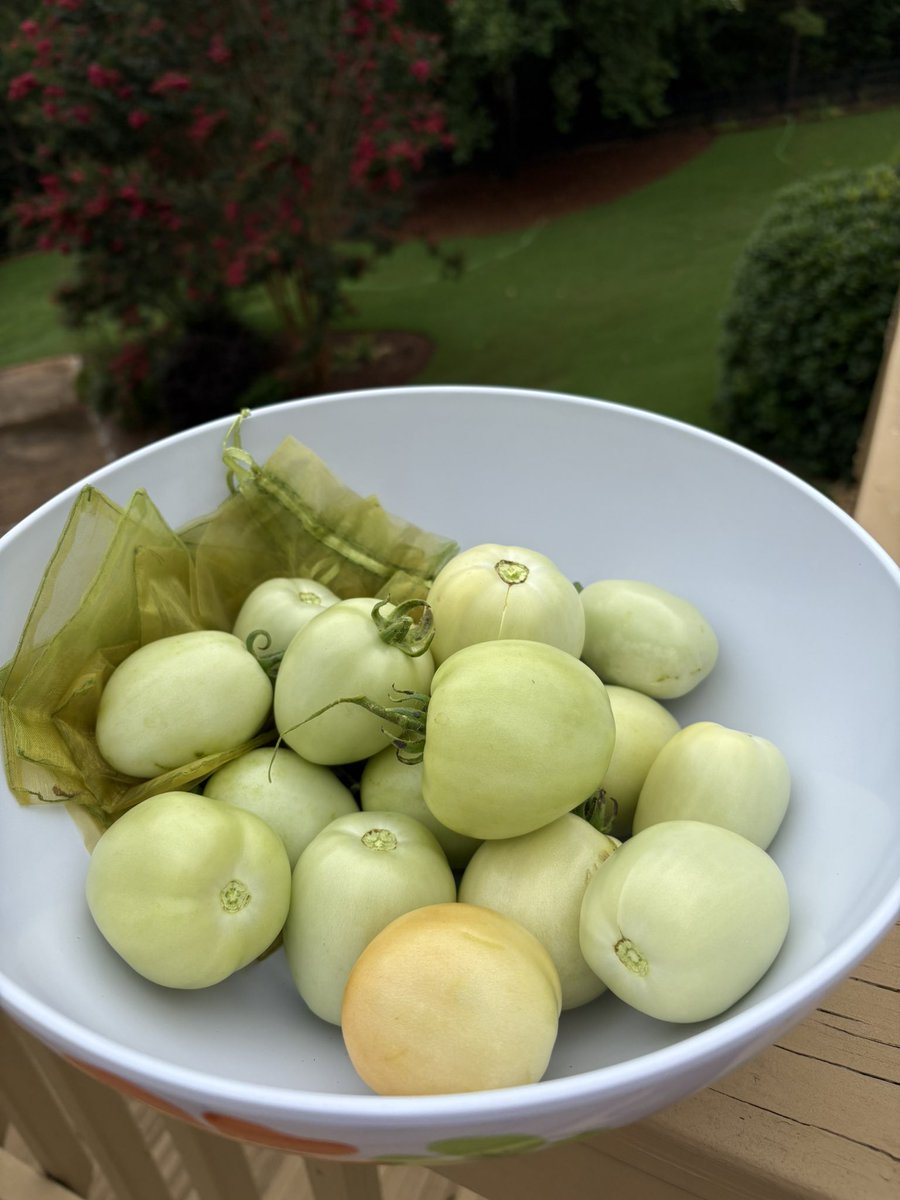 UCantFoolMom's tweet image. Not much room to grow? Even gardening from the deck can produce great results. 😋 Round two of Green Tomato Salsa Verde
