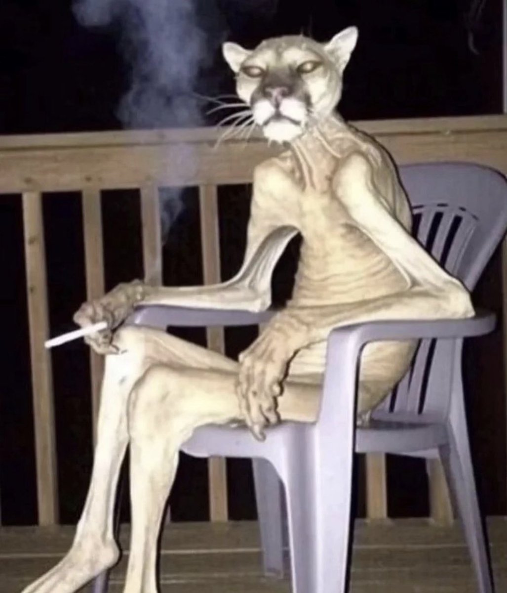 Bu model kap bekliyoruz..