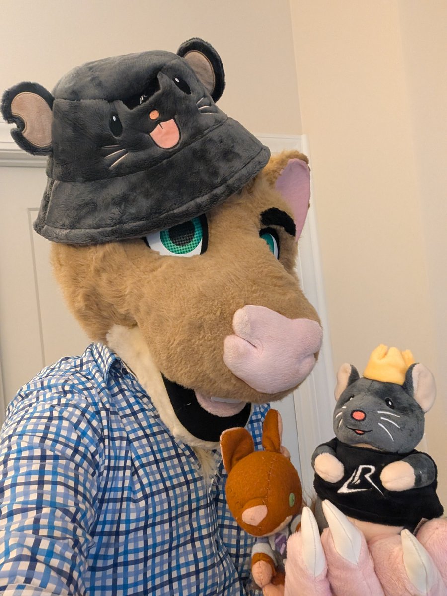 My <a href="/LosRatoneslol/">LosRatones</a>  merch arrived. Now everyone will know what a big fan of rats I am!