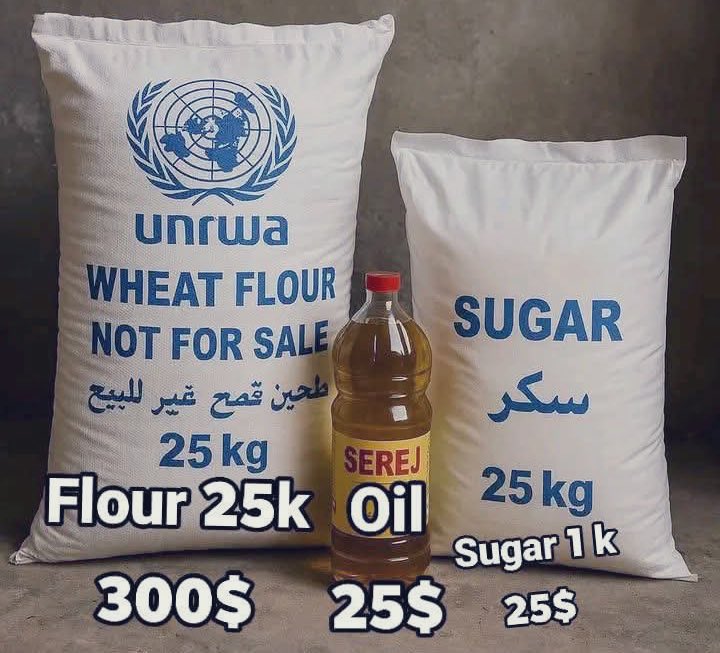 an_jmy40244's tweet image. A bag of flour, O Egypt 🇪🇬
A bag of flour, O Jordan 🇯🇴
A bag of flour, O Gulf of oil 🇸🇦 🇦🇪 🇶🇦 🇰🇼 🇧🇭 🇴🇲
A bag of flour, O Arabs
🇲🇦 🇩🇿 🇹🇳 🇱🇾 🇸🇩 🇲🇷 🇱🇧 🇸🇾 🇮🇶 🇾🇪
We are not asking for charity
We are not beggars, we are
chuffed.org/project/140028…