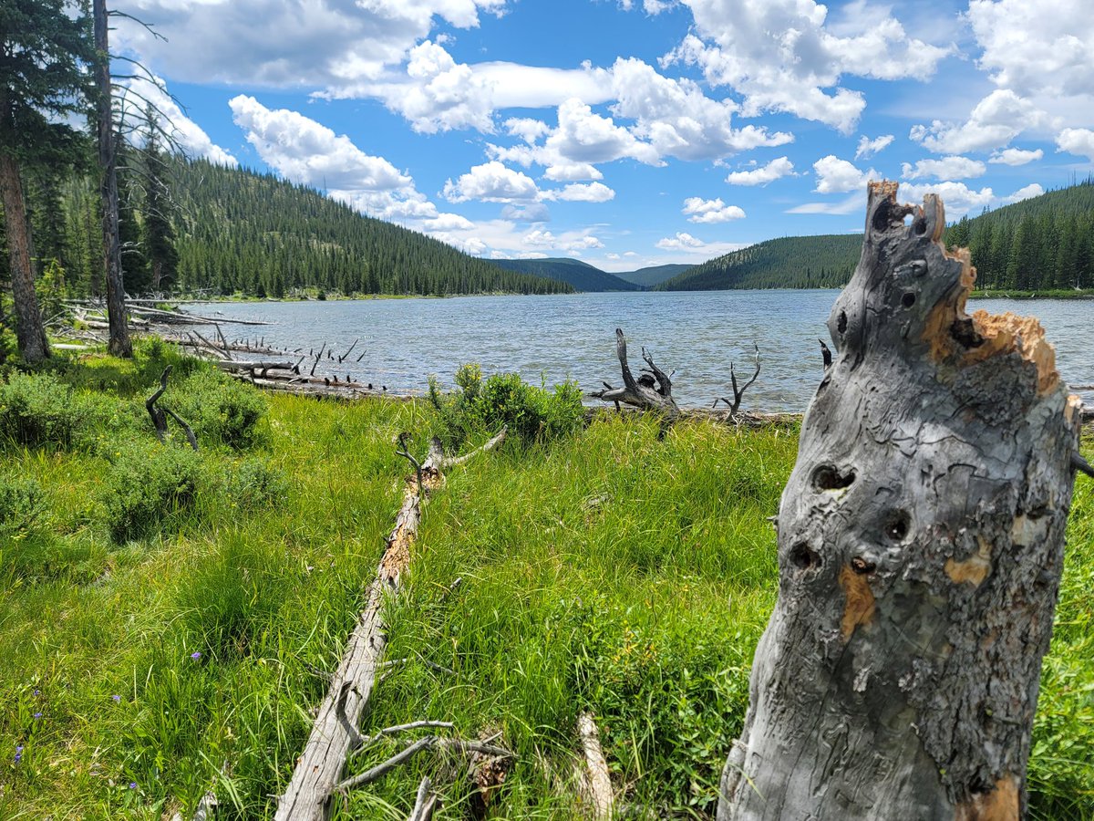 JoshMNBCMT's tweet image. Grizzly Lake - massively underrated spot in Yellowstone! Got to check it out with a friend yesterday, worth the 2.3 mile hike each way from the highway