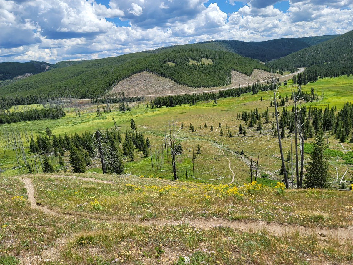JoshMNBCMT's tweet image. Grizzly Lake - massively underrated spot in Yellowstone! Got to check it out with a friend yesterday, worth the 2.3 mile hike each way from the highway